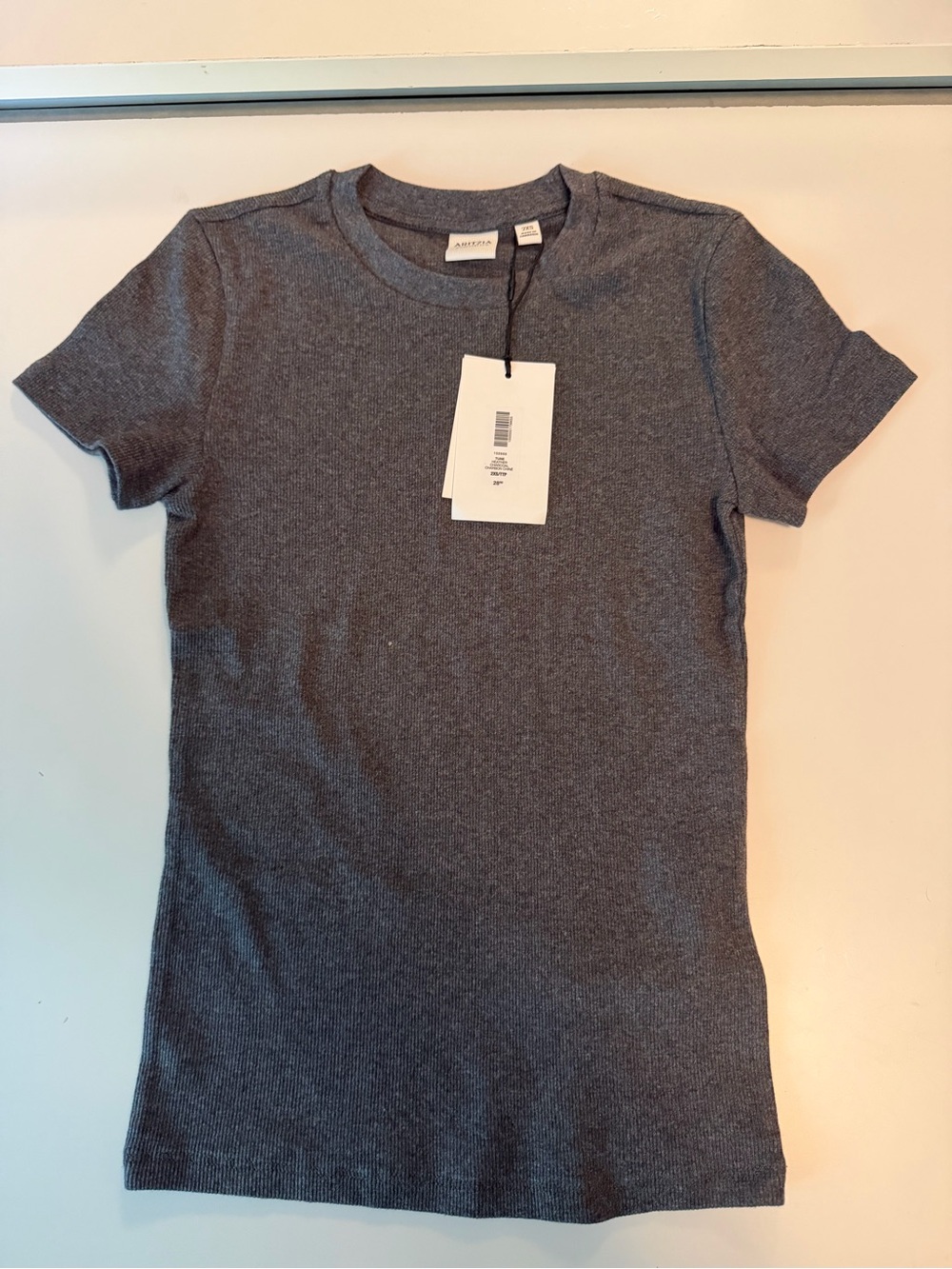 Aritzia Homestretch T Shirt